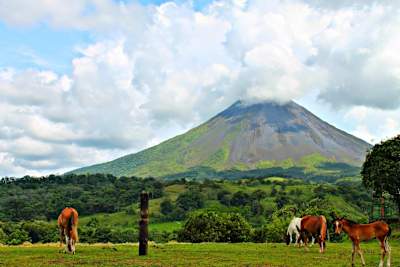 Caballos pastan frente al Volcán Arenal, Costa Rica.