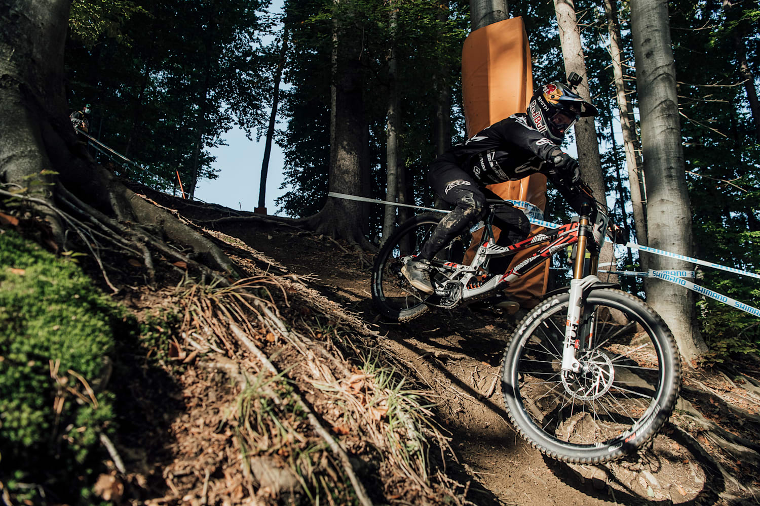 red bull dh world cup