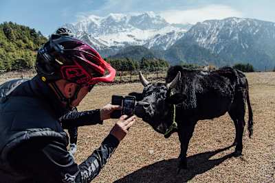 Rob Warner takes a picture of a cow in Nepal.