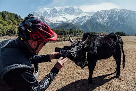 Rob Warner takes a picture of a cow in Nepal.