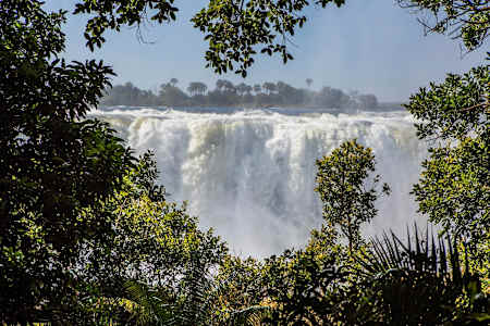 Victoria Falls seen through greenery.