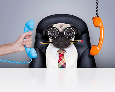 Tips and tricks to maximise your talents at work and beyond