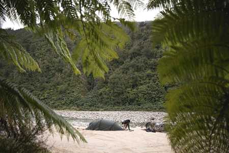 Person puts up tent on sandy river beach deep in forests in New Zealand.