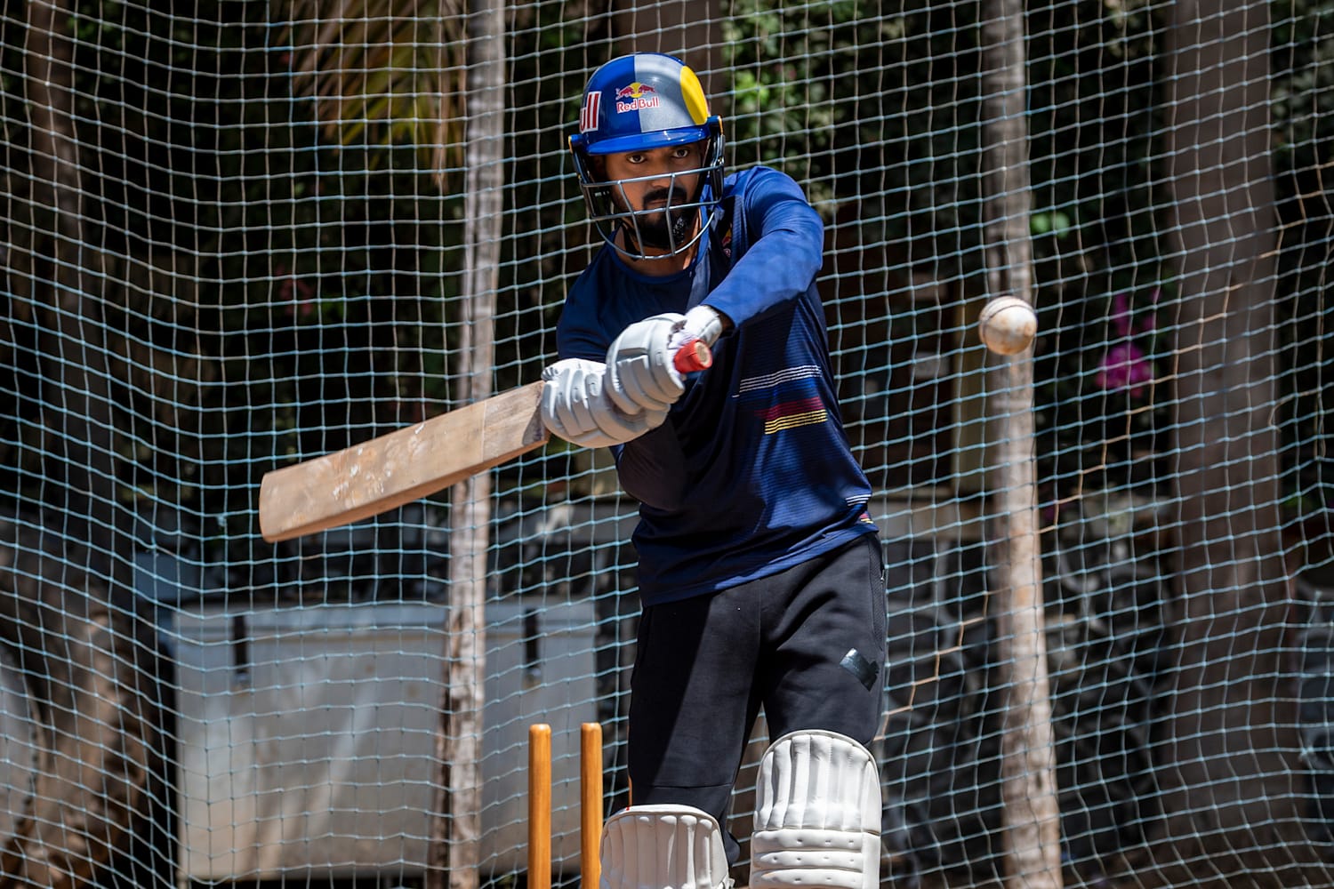 These Are Kl Rahul S Happiest Hunting Grounds In India Flipboard See more of kl rahul on facebook. flipboard