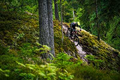 Oscar Härnström cyklar i Kisa MTB Park för Swede Shreds i juli 2021.