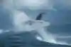 Carissa Moore surfs in Tahiti on 27 February, 2019.