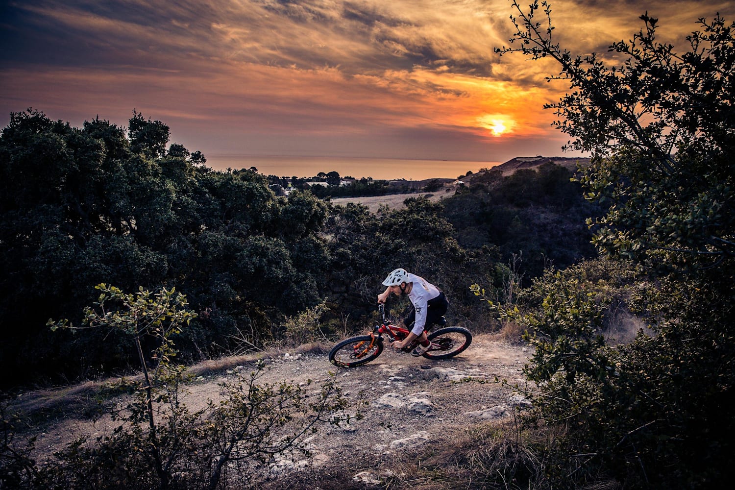 ibis enduro team