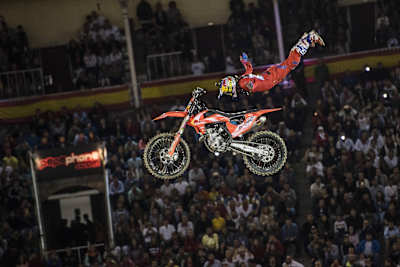 Dany Torres Holy Grab