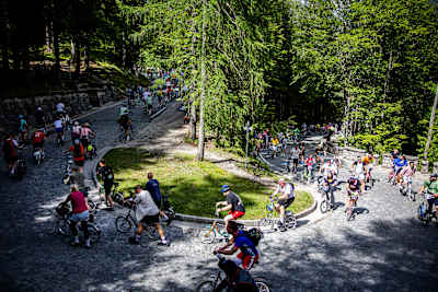 Red Bull Goni Pony 2026 