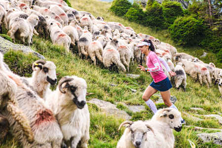 Denisa Dragomir of Romania runs during the Fagaras Mountain Challenge