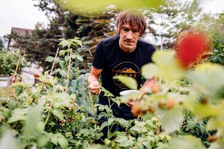 Triathlon-Athlet Sebastian Kienle pflückt in seinem Garten Himbeeren für sein Frühstück.