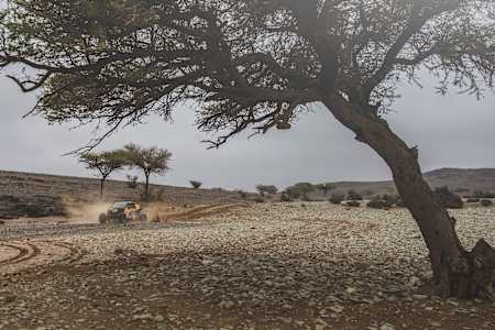 Cristina Gutierrez Herrero (ESP), del Red Bull Can-Am Factory Racing, durante la etapa 8 del Rally Dakar 2023 de Al Duwadimi a Riyadh, Arabia Saudita el 08 de enero 2023. 