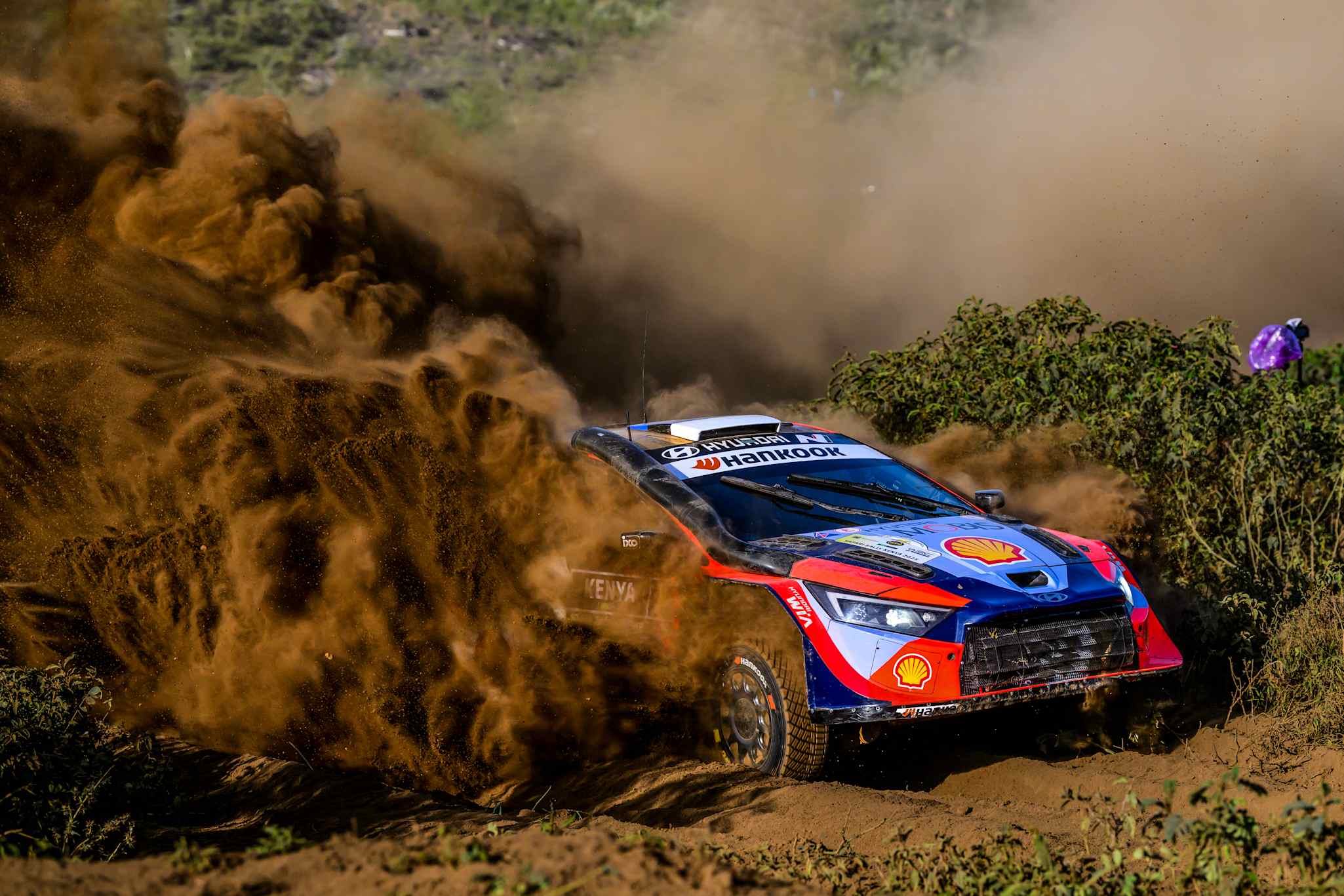 Tänak led the rally before suffering a broken driveshaft