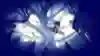 An image from Fe showing characters in the woods