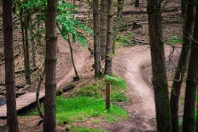 Cannock Chase mountain bike trails