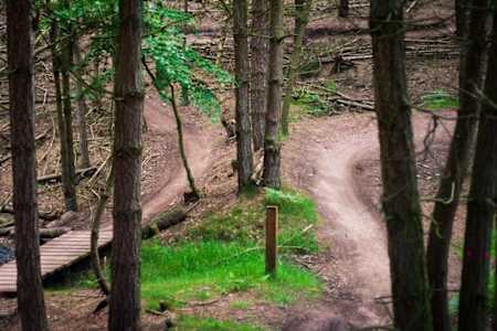 Cannock Chase mountain bike trails