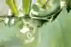 Ale Sorgente does a super gnarly drop in on a waterslide