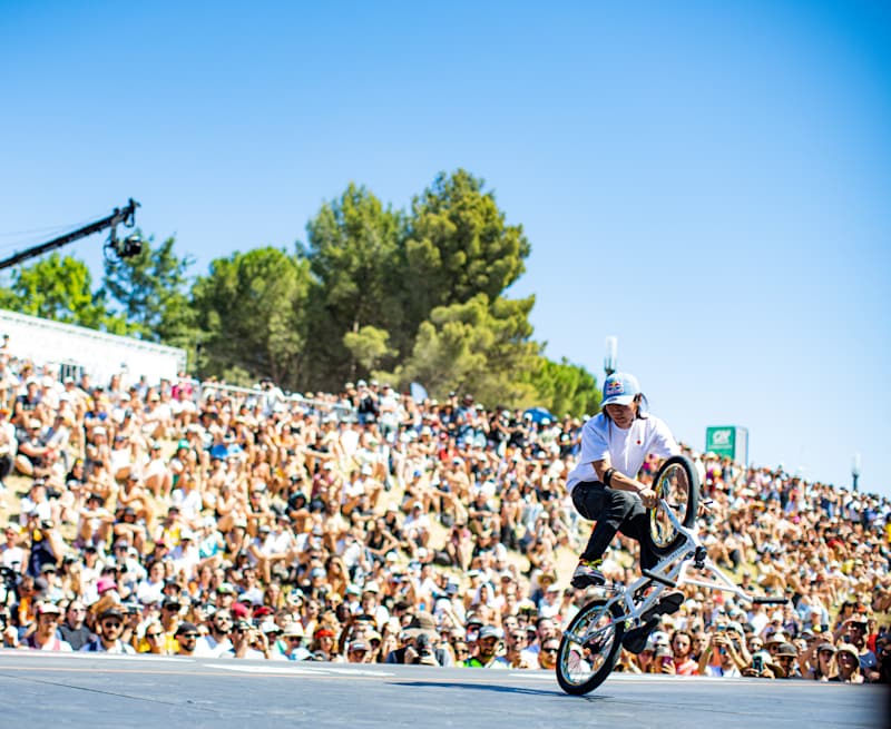 BMX☆フラットランド フラットランドBMX自転車