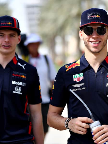 Polo aston martin red bull hotsell