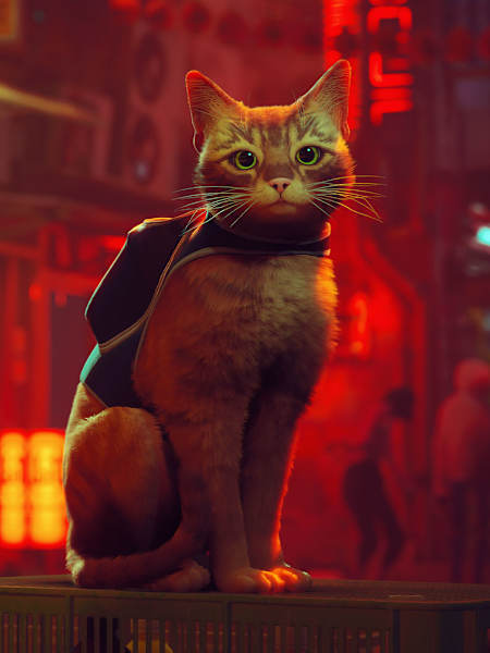 Eine Katze sitzt auf einer Kiste. Im Hintergrund sind bunte Lichter und ein Roboter zu sehen, welcher einen Bildschirm als Gesicht hat