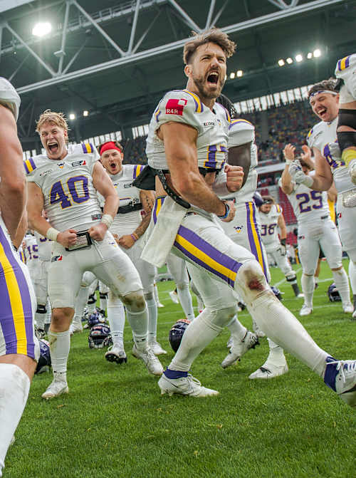 Vienna Vikings