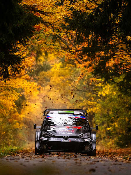 Elfyn EVANS