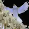 No te pierdas el Carnaval de Río en Red Bull TV