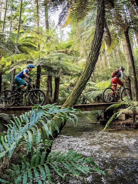 Rotorua MTB trail guide Here s all you need to know