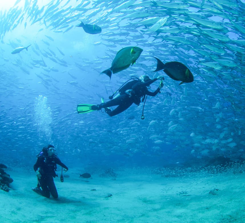 Scuba Diving Red Bull