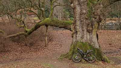Dunkeld Hermitage Loop, Scotland gravel route
