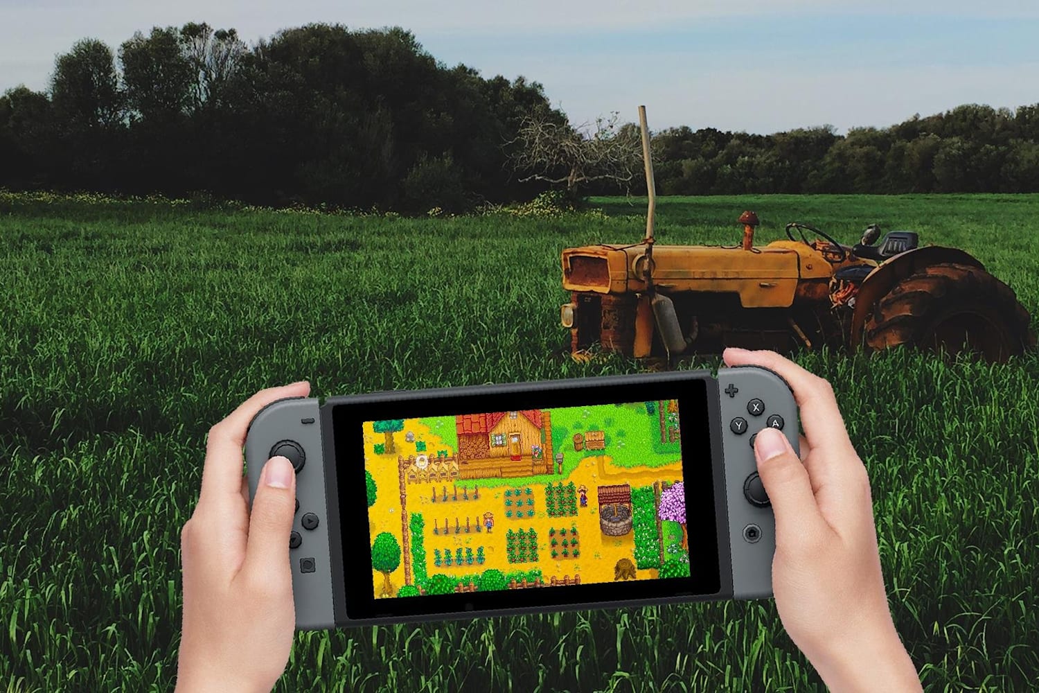 Stardew Valley Guide The Ultimate Nintendo Switch Tips