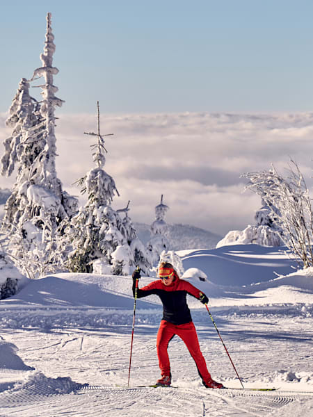 Langlauf Bayrischer Wald