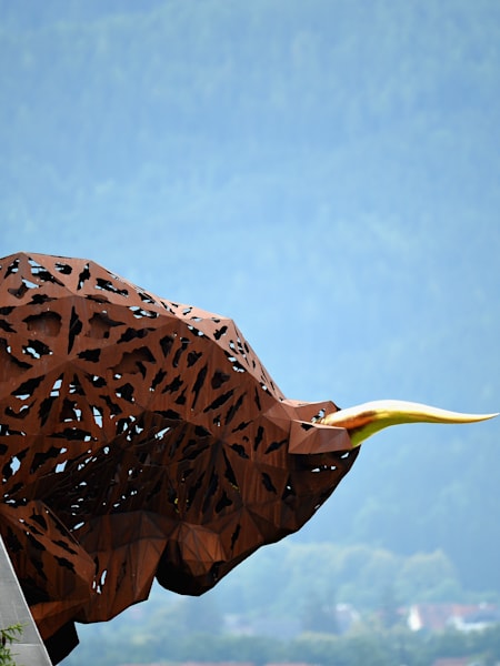 The Iconic Bull At Our Home Circuit