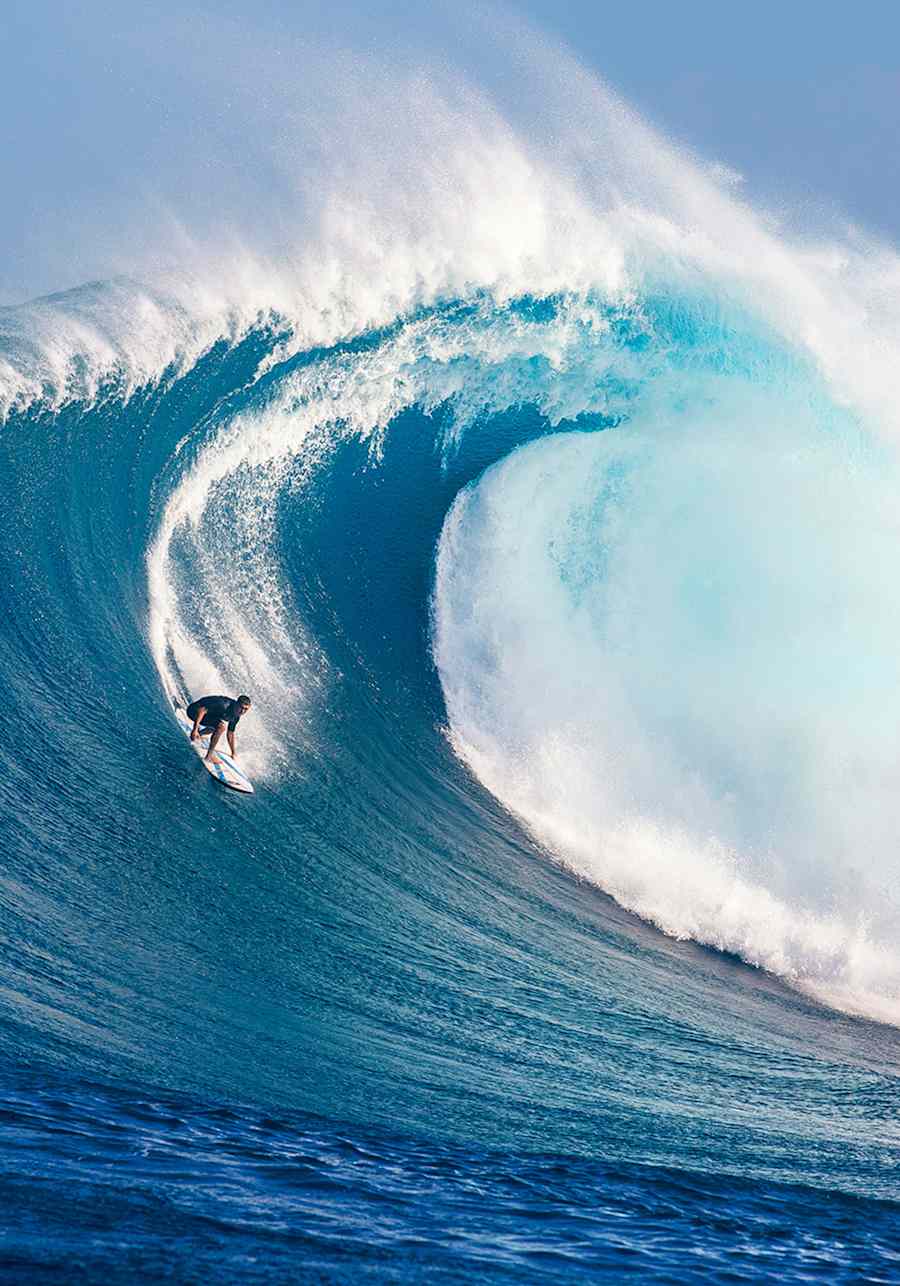 カリフォルニア・クラブ ケン・マーカス写真集 ケン・マーカス写真集 カリフォルニア・クラブ】ワニマガジン社