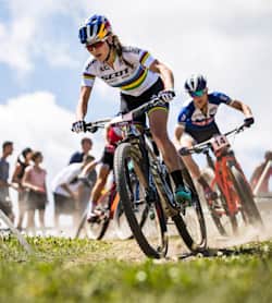 Mtb competitions 2019 shop