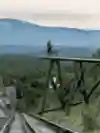 A mountain bike rider watches a train approaching.