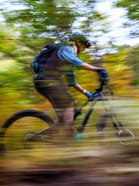 2019 mtb of the year top