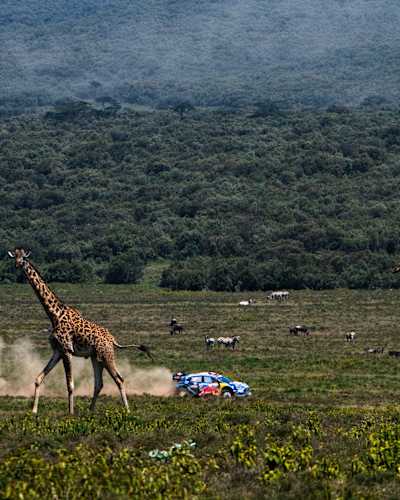 Pierre-Louis Loubet y su copiloto Nicolas Gilsoul, de M-Sport Ford WRT, en el Rally de Kenia en Naivasha el 25 de junio de 2023.