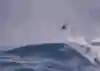 Lenny might be a big wave master, but he still takes his safety seriously