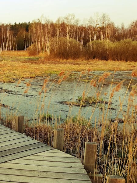 Platforma widokowa w Granicy