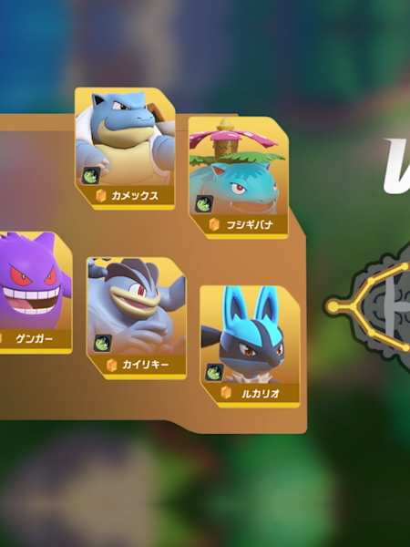 Bildschirm vor Spielbeginn. Es werden die 5 Pokémon beider Teams gezeigt