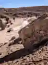 SI202401090246