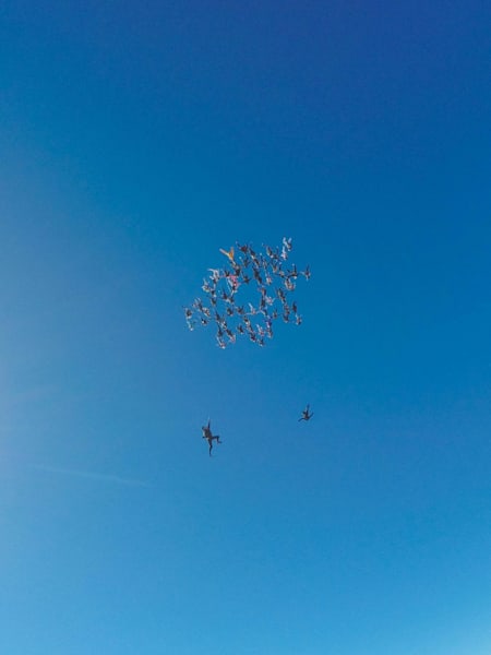 65 femmes dans le ciel : record battu !