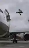 Jason Paul saute dans l'avion