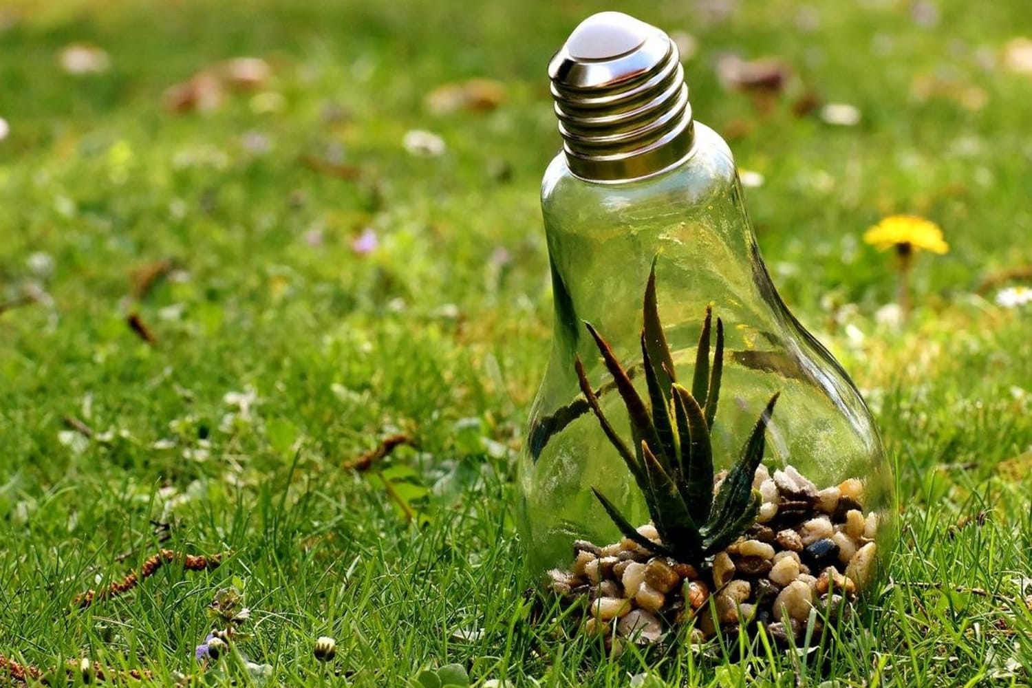 10 ejemplos 5 ejemplos de como