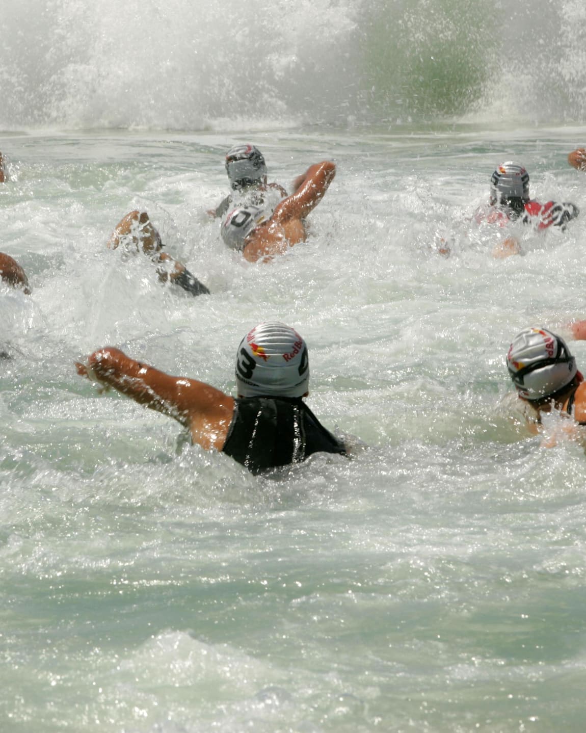 swimming in red sea