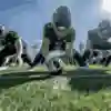 Five Vienna Vikings players crouch in a scrimmage line, one holding the ball
