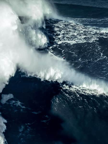 Sebastian nazare on sale