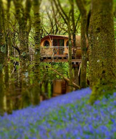 Admit it, the treehouse looks a bit like Wall-E.