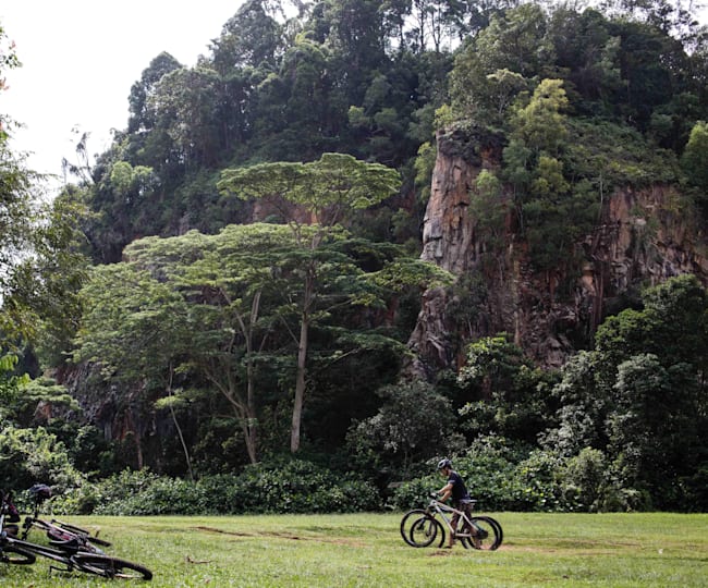 bukit timah nature reserve mountain bike trail guide